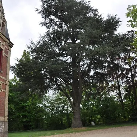 Chateau De La Croix Bizet 게스트하우스 3*