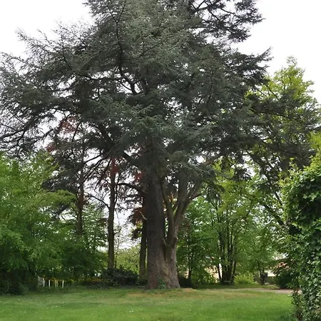 Chateau De La Croix Bizet 게스트하우스 3*